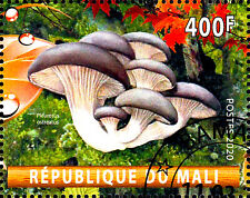 Natura flora pianta usato  Spedire a Italy
