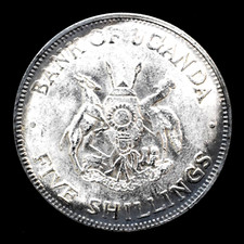 wedding dollar for sale wedding dollar for sale Brooklyn