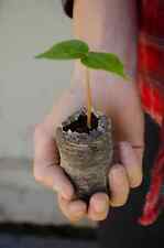 Treesagain silk floss for sale  La Junta