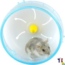 Roue course hamster d'occasion  Saint-Malo