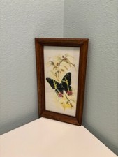 Vintage butterfly artwork for sale  Colorado Springs