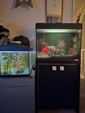 Fluval large aquarium for sale  TEDDINGTON