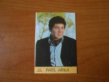 Figurina cantanti ed.panini usato  Torino