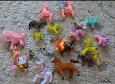 horses ponies for sale horses ponies for sale RUSHDEN