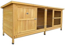 Extra large rabbit for sale  UK