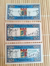 Notgeld flensburg pfennig gebraucht kaufen  Schorndorf