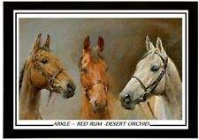 134 arkle red for sale  WASHINGTON