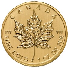 Canadian gold maple for sale  Las Vegas