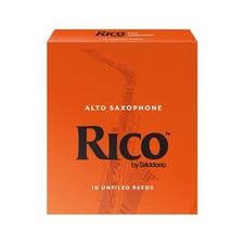 Rico addario ance usato  Manerbio