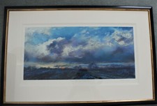 Nel whatmore sun for sale  NEWQUAY