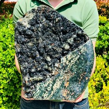 27.54lb natural ocean for sale  Burlington