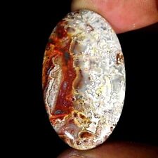 34.30Cts Naturale Pazzo Pizzo Agata Ovale Cabochon Loose 23x40x5mm na sprzedaż  Wysyłka do Poland