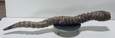 Vintage kudu spiral for sale  SOUTHAMPTON