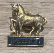 Ipswich town horse for sale  STAINES-UPON-THAMES