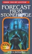 Forecast stonehenge paperback for sale  Montgomery