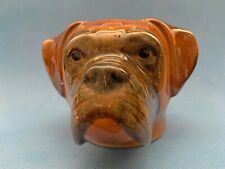 Quail boxer dog for sale  STANFORD-LE-HOPE