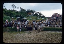 c1950 Naha Regatta Bulls Fighting Japan Red Boarder Kodachrome 5 comprar usado  Enviando para Brazil