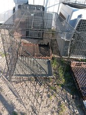 Dog cages for sale  Plaquemine