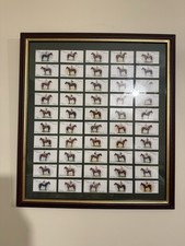 Horse racing collective for sale  CORBY