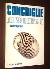 Conchiglie del mediterraneo usato  Chieri