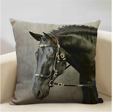 Equine equestrian horse for sale  Mobile