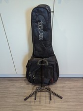 Ritter junior guitar for sale  BUCKIE