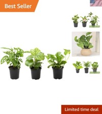 Essential 3pk indoor for sale  Tinley Park