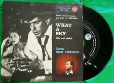 Nico fidenco what usato  San Cesareo