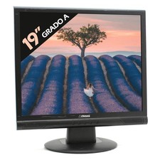 Monitor schermo display usato  Arezzo