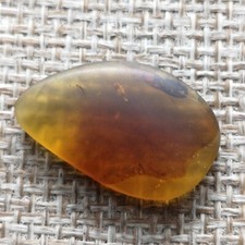 Ambre naturel 4.46ct d'occasion  Paris I
