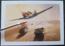 Turner curtiss p40 d'occasion  Genlis