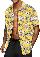 Camicia hawaiana uomo usato  Roma
