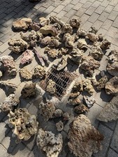 Rocce vive fiji usato  Asti