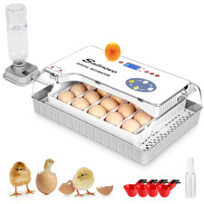 Incubatrici per polli usato Incubatrici per polli usato  Roma