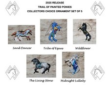Trail painted ponies for sale  Diamond