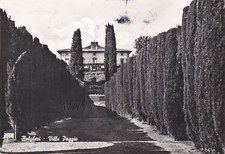 Bolgheri villa poggio usato  Roma