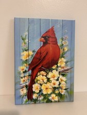 Vibrant cardinal blossom for sale  Ogden