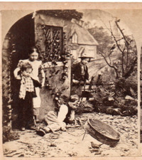 Bird trap. stereoview for sale  Jackson