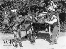 1900 calèche voiture d'occasion  Luçon