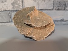 desert rose crystal for sale desert rose crystal for sale REDDITCH