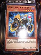 Rare ketos colonie d'occasion  Grigny