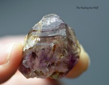 Sacred super seven for sale  LONDON