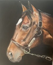 Horse portrait horse for sale  MANCHESTER