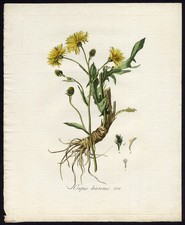 Antique print rough d'occasion  Expédié en Belgium
