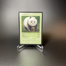 giant pandas for sale giant pandas for sale San Luis Obispo