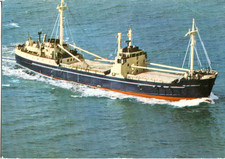 1981 postcard guinness for sale  SALISBURY