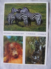 Postkarte tiere aufkleber gebraucht kaufen  Bremen