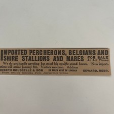 Imported percherons belgians for sale  Hinckley