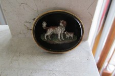 king charles spaniel for sale king charles spaniel for sale Chicago