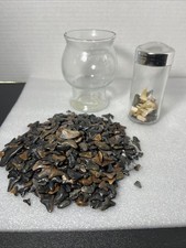 Lot 300 fossil for sale  Saint Cloud